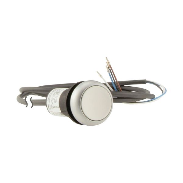 C22-DR-W-K10-P65 Pushbutton, classic, flat, maintained, 1 N/O, white, cable (black) with non-terminated end, 4 pole, 3.5 m image 10