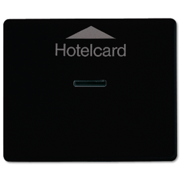 Afdekking SL500 zwart Hotelcard-schak image 2