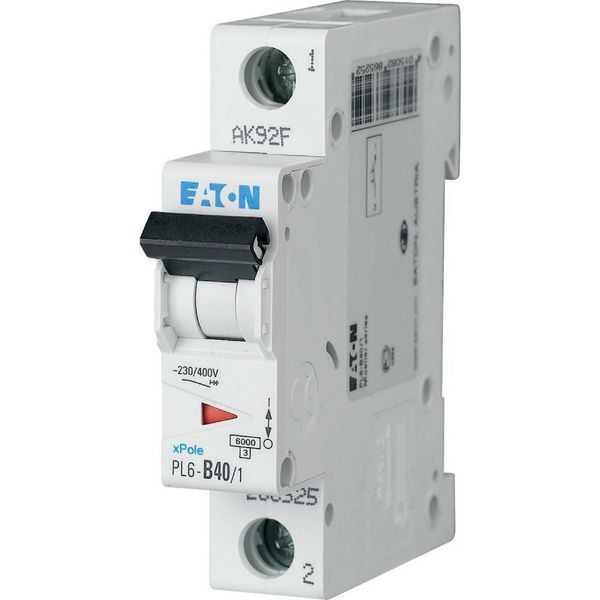 PL6-B40/1 Miniature circuit breaker (MCB), 40 A, 1p, characteristic: B image 2