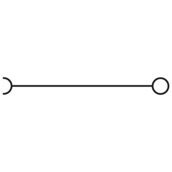 SP 4/15 - Plug image 7