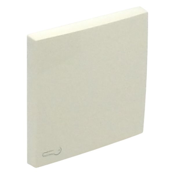 ROCKER F/SWITCHES W/LOCK SYMBOL IVORY image 2