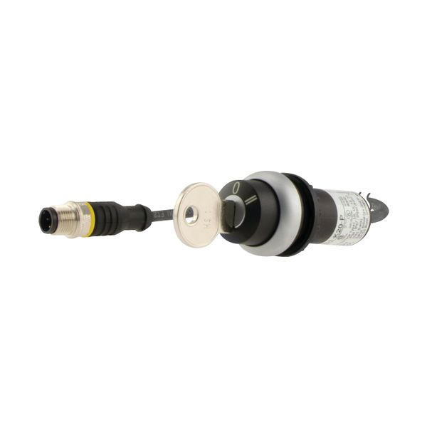 C22-WRS3-MS1-K20-P5 Key-operated actuator, RMQ compact solution, maintained, 2 N/O, Cable (black) with M12A plug, 4 pole, 1 m, 3 positions, MS1, Bezel: titanium image 12