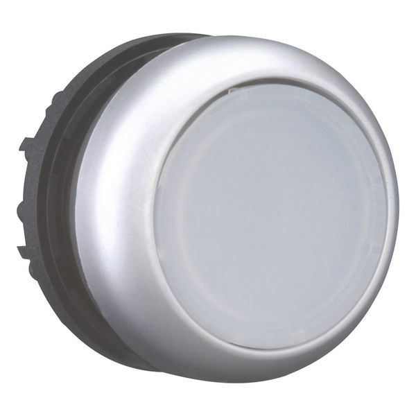 M22-DRL-W Illuminated pushbutton actuator, RMQ-Titan, Flush, maintained, White, Blank, Bezel: titanium image 6