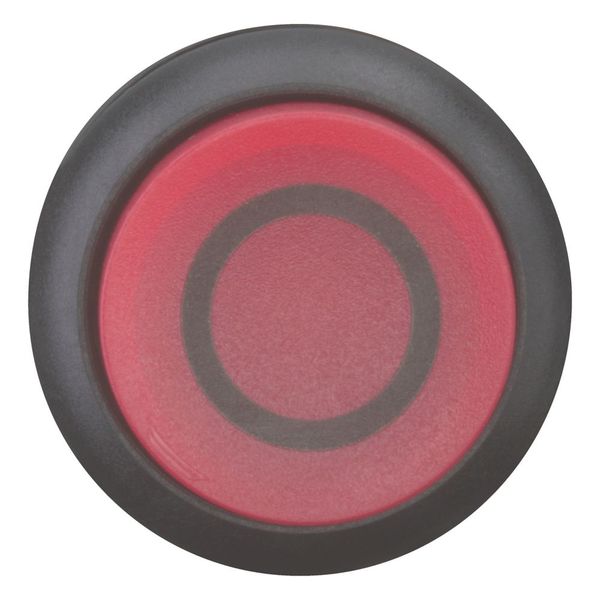 M22S-DRLH-R-X0 Illuminated pushbutton actuator, RMQ-Titan, Extended, maintained, red, inscribed, Bezel: black image 9