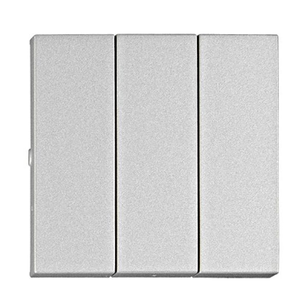 Rocker S 55 for switch 3-gang, silver image 1