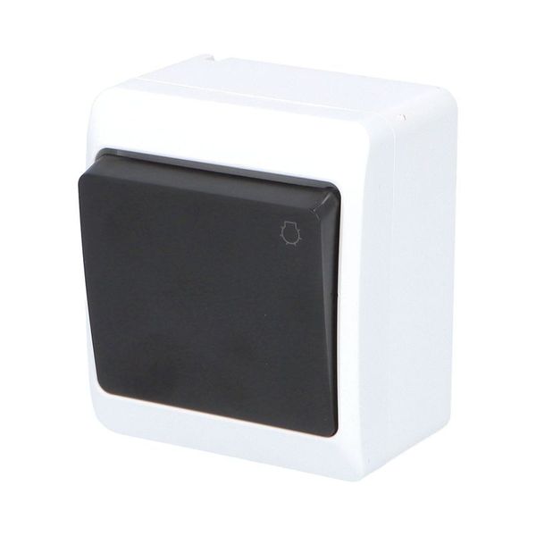 GALATEA Button symbol light No. 1/0 10A 230V on plaster IP44 white/black image 2