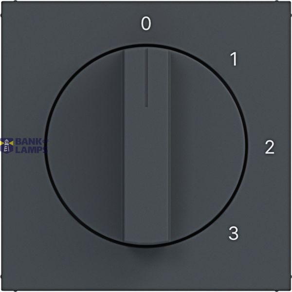 Central plate 3-position switch, neutral position, A.x/C.x anthracite image 1