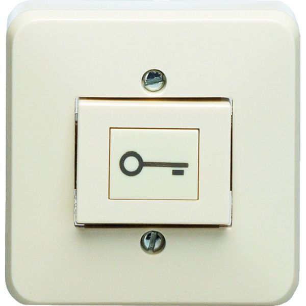Push-button Jung 333AT-24 image 1