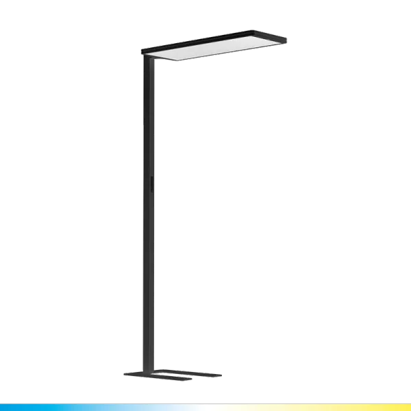 SL730+SL XL 98 S/D 8TW BK9005 HCL USB image 3