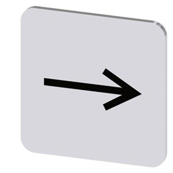 Labeling plate 22x22 mm, silver-colored label, icon: Arrow pointing to the right image 1