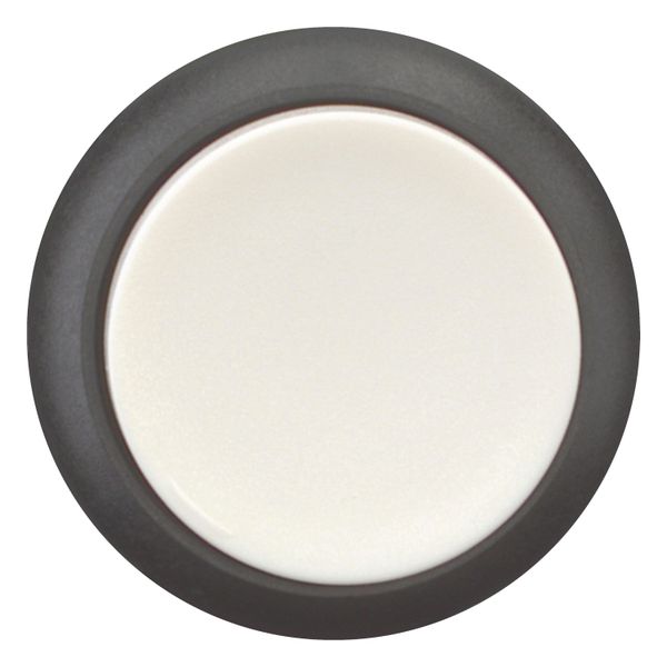 M22S-DH-W Pushbutton, RMQ-Titan, Extended, momentary, White, Blank, Bezel: black image 10