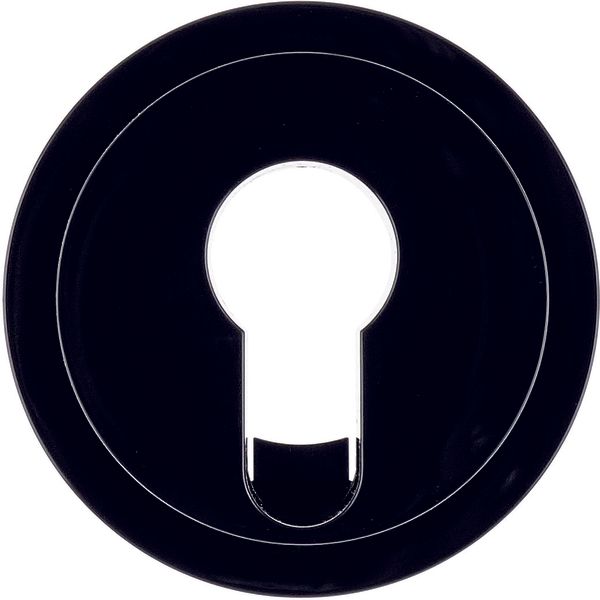 Centre plate for key switches/key push-buttons R.1/R.3, black glossy image 1