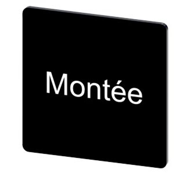 Labeling plate 27 x 27 mm, label black, labeling: Montee image 1
