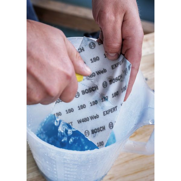 Sanding Web Expert W480, G320 10pcs image 2