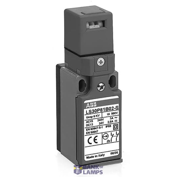 LS33P81D11-S Limit Switch image 1
