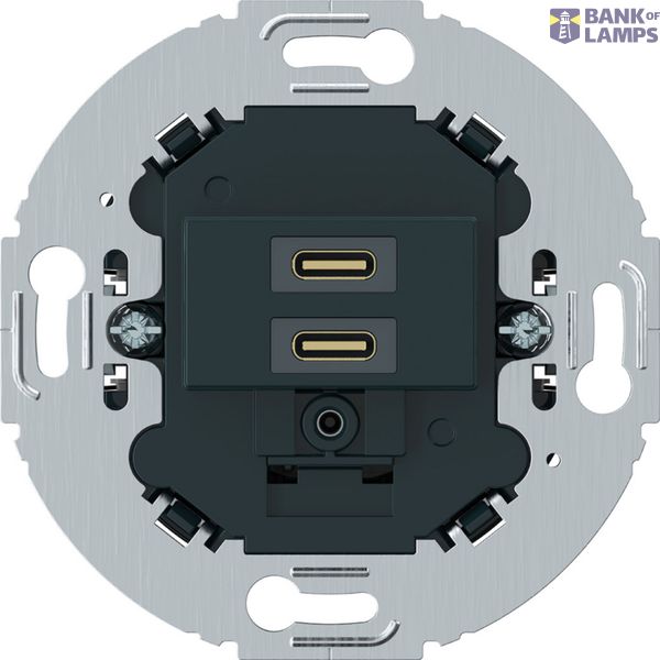 USB C+C (PD) wall socket, Series 1930/R.classic, black image 1