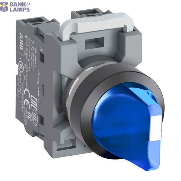 ESPD1R/LCD/208 module image 1