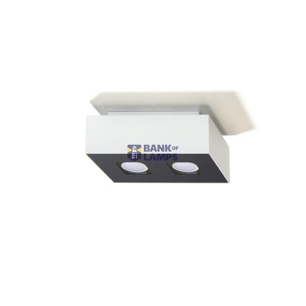 SPOT MONO 2 WHITE GU10 2X40W IP20 image 4