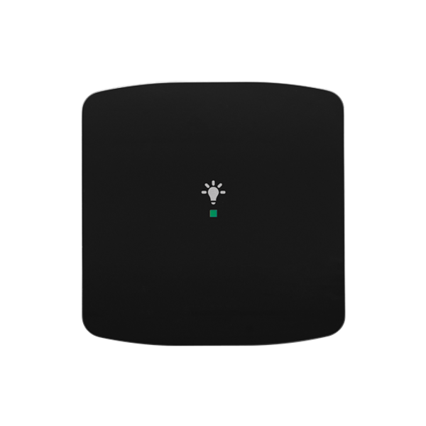 Rocker, 1gang, with “Light” icon image 1
