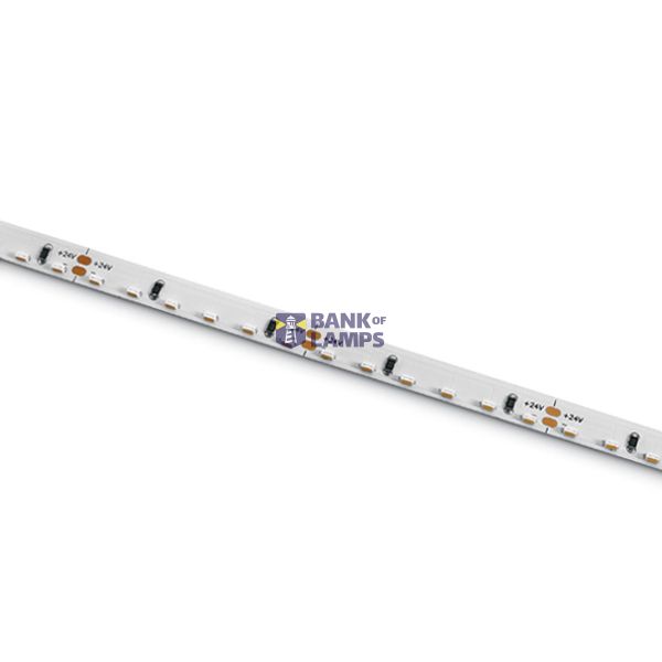 STRIP 24V DC WW 5m ROLL 14,4W/m IP20 VERTICAL LIGHT image 1