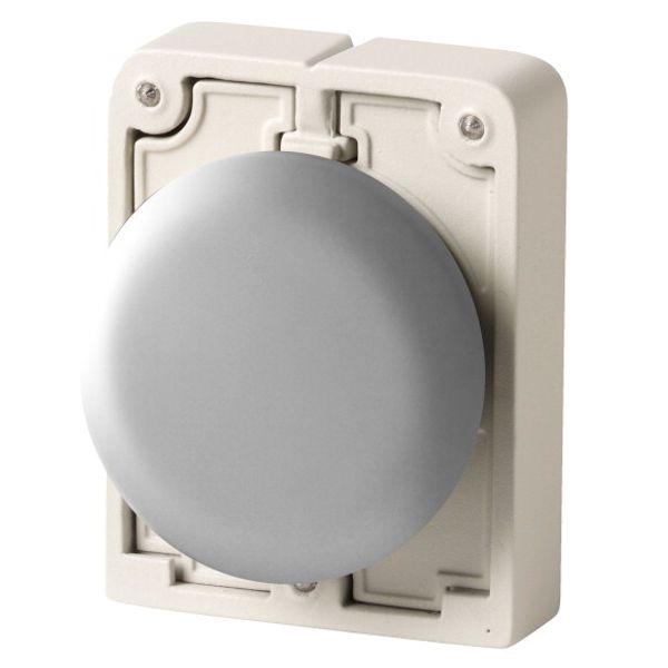 M30I-FB Blanking plug, Front ring stainless steel image 1