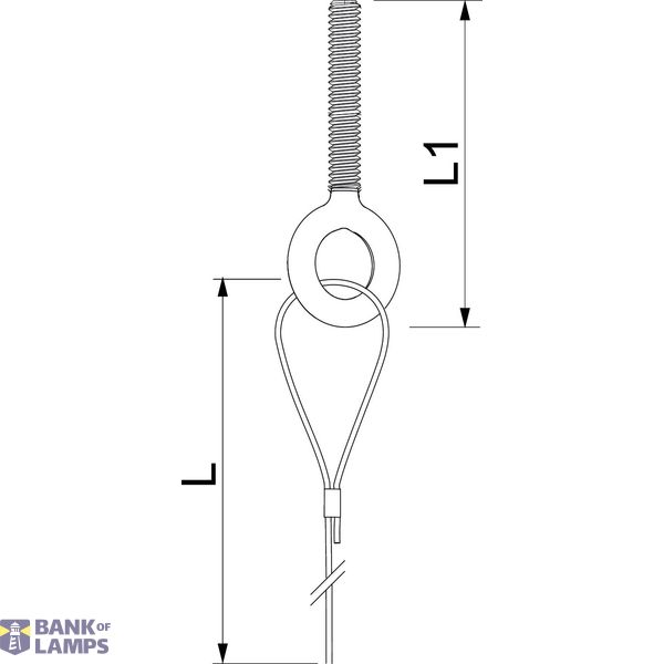 QWT AS 1 10M G Suspension wire with eyebolt 1x10000mm image 2