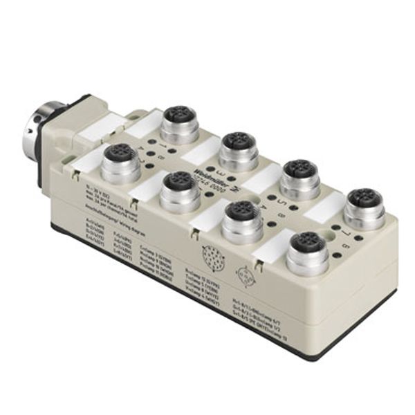 Bayonet joint with female connector at rear, with M23 outlet, 19-pole, M12, 30 V, A-coded, LED: Yes, LED initiator: Yes, Wiring type: image 1