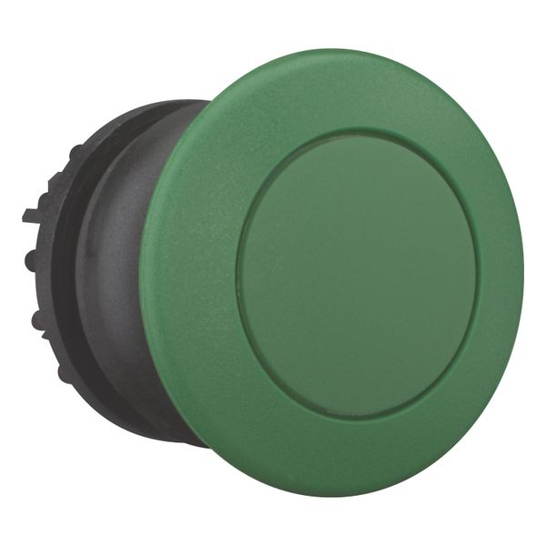 M22S-DP-G Mushroom actuator, RMQ-Titan, Mushroom, momentary, Mushroom green, green, Blank, Bezel: black image 12