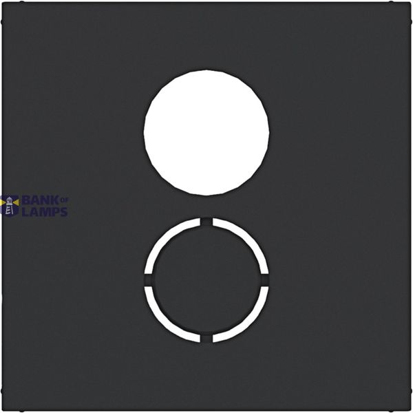 Central pl, speaker conn., ext., A.x/C.x/S.1/B.x/Q.x/K.x black mat image 1