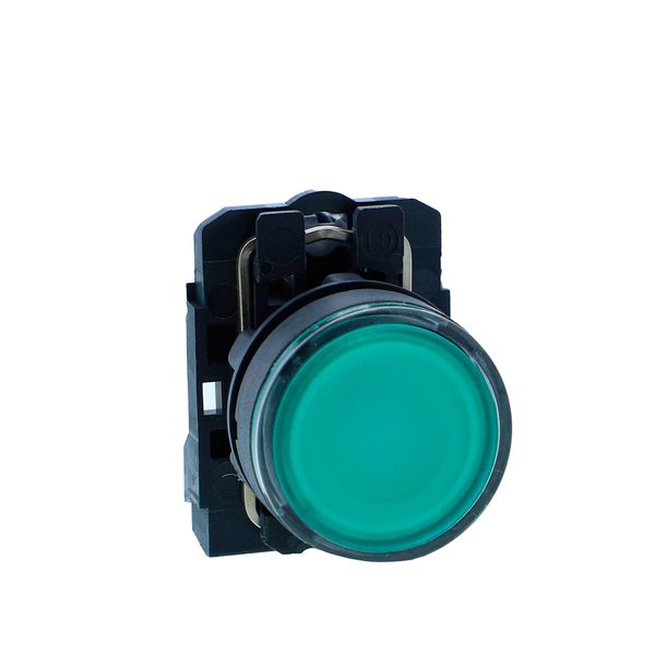Illuminated pushbutton, Harmony XB5N XB7N, plastic, flush, green, 22mm, spring return, 110V AC, 1 NO image 1