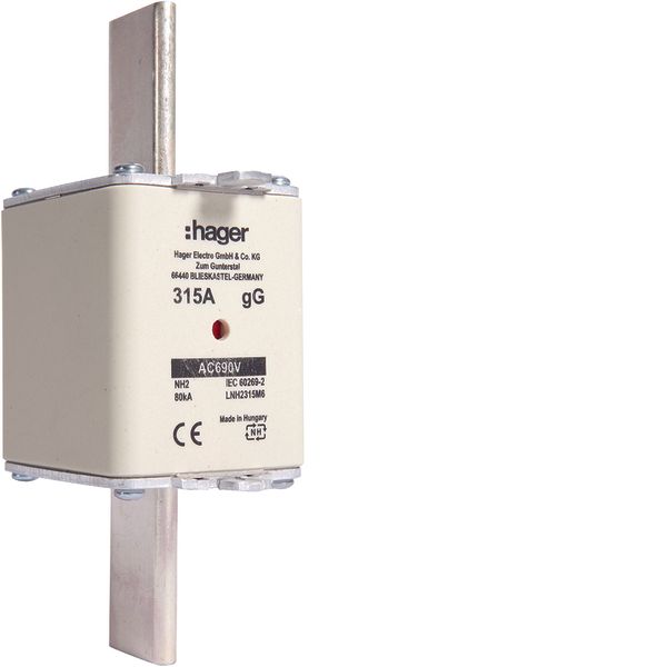 NH fuse NH2 gG 690V 315A with twin indicator and live gripping lug image 1