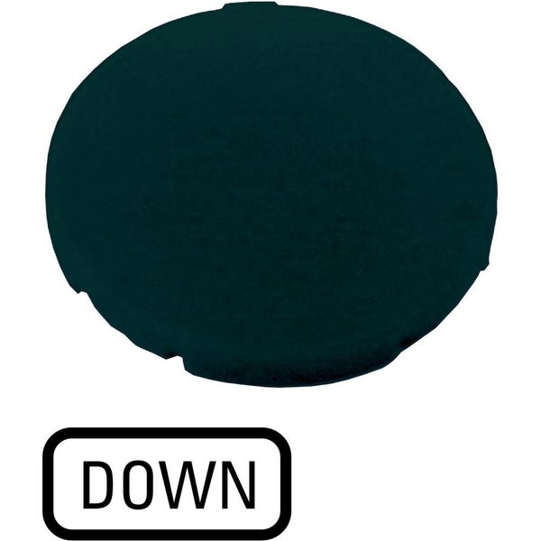 M22-XD-S-GB4 Button plate, flat black, DOWN image 5