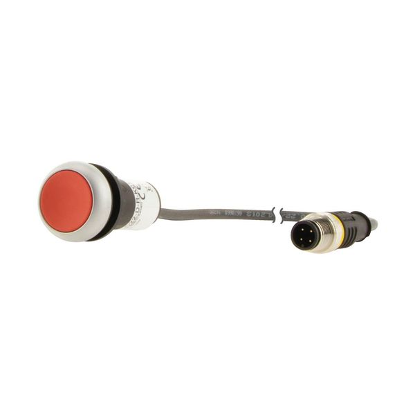 C22-D-R-K01-P1 Pushbutton, Flat, momentary, 1 NC, Cable (black) with M12A plug, 4 pole, 0.2 m, red, Blank, Bezel: titanium image 15
