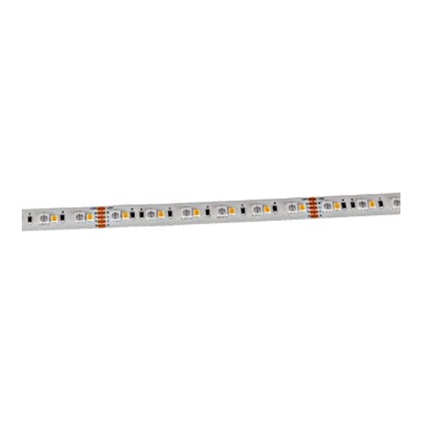 LEDSTRIPE 5M RGB-W 19,2W/M 555LM/M CRI90 image 1