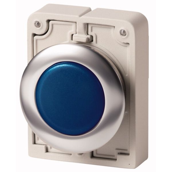 M30I-FL-B Indicator light, RMQ-Titan, flat, Blue, Front ring stainless steel image 1