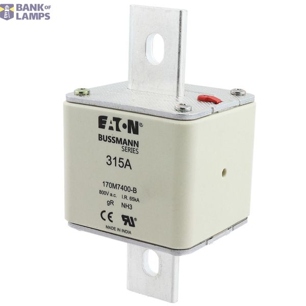 FUSE 315A 800V AC gR SIZE3 BOLTED TAG DI image 8