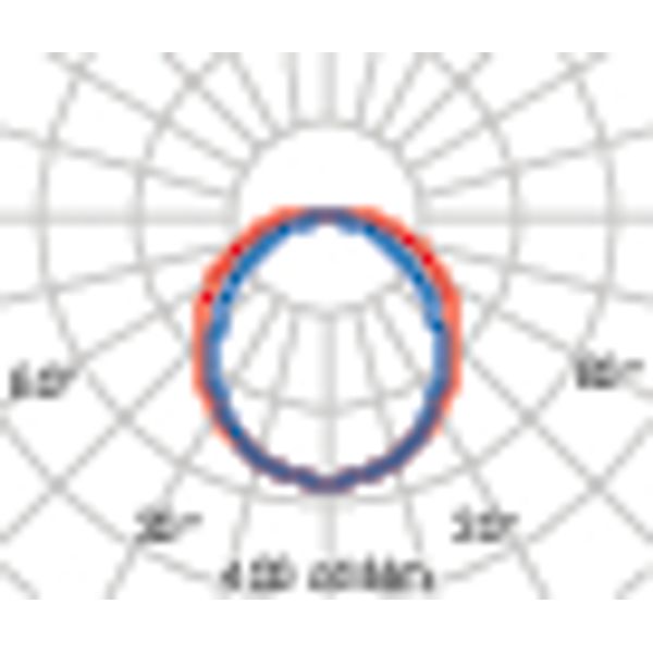 ACRO+ EQ236 HO S/EW 4000K image 6