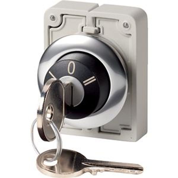 M30C-FWRS3-RS-A1 Key-operated actuator, Flat Front, maintained, 3 positions, Ronis 455, Key withdrawable: 0, Metal bezel image 2