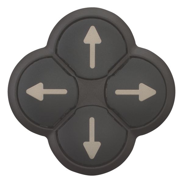 M22S-DI4-S-X7 Position pushbutton, RMQ-Titan, Actuators non-flush, momentary, 4-fold, opposing pushbuttons mechanically interlocked, Bezel: black, arrow up image 9