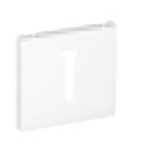 COV PLAT F/T8 FRENCH TELEP SOCKET MATTE WHITE image 1