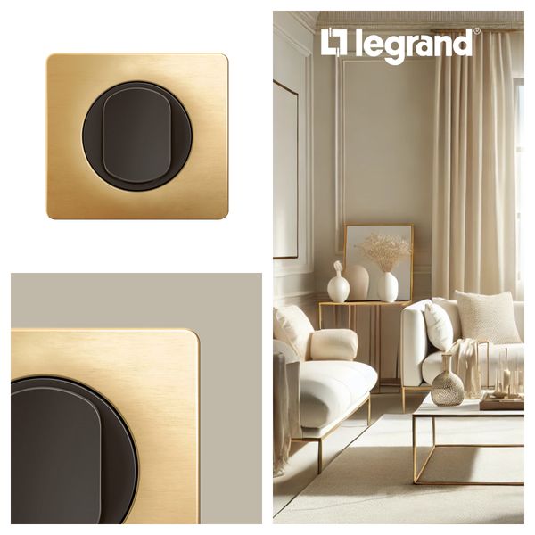 PLATE 2 GANG SATIN BRASS image 5