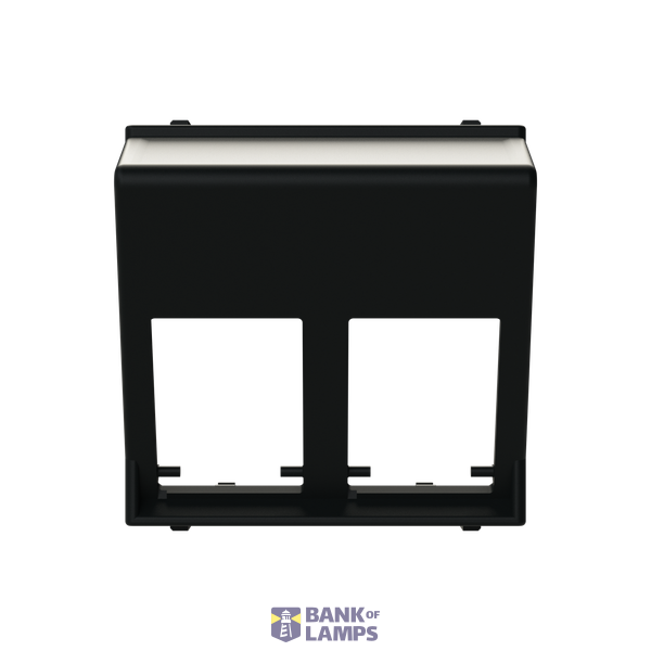 N2216.6 NT - Cover 45 Double Data Socket image 1