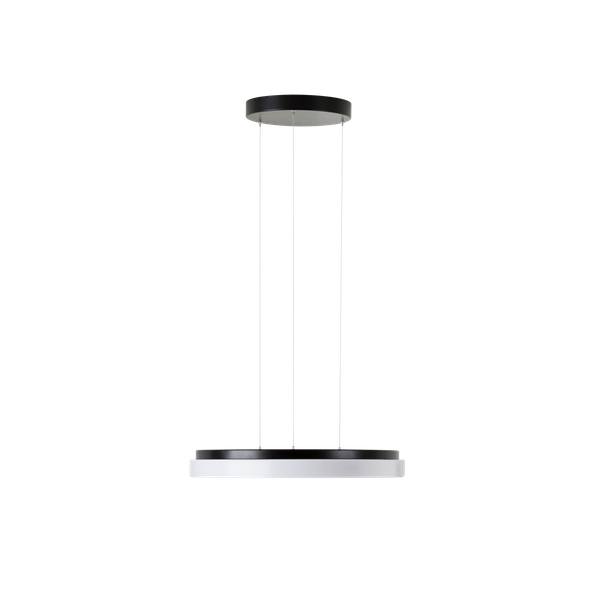 LED-1L20E1000ZLEN94/PC44/L100 C 4K image 1