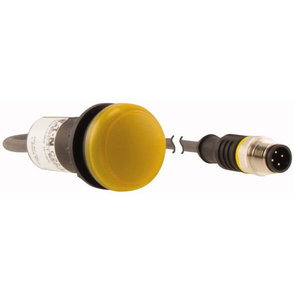 C22-L-Y-24-P3 Indicator light, Flat, Cable (black) with M12A plug, 4 pole, 0.5 m, Lens yellow, LED white, 24 V AC/DC image 4