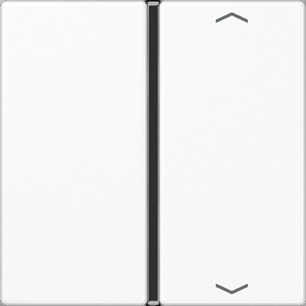 Cover 1-gang with symbols A401TSAPWW image 2