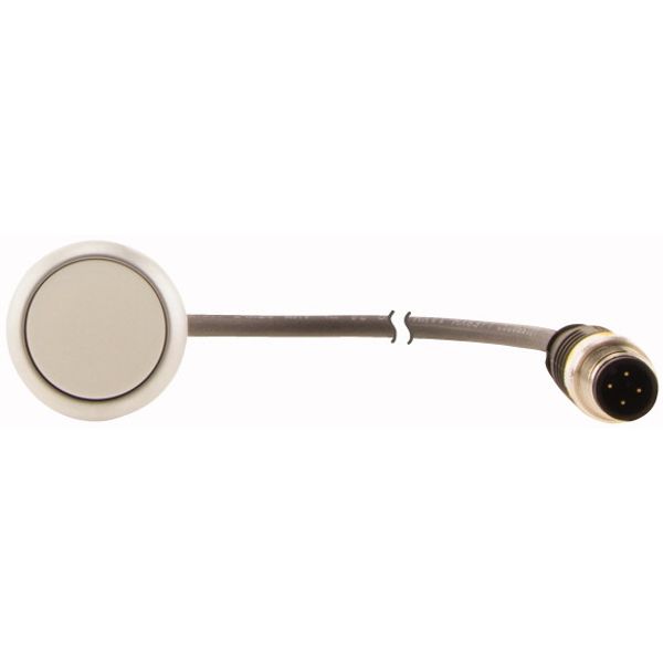 C22-D-W-K10-P3 Pushbutton, Flat, momentary, 1 N/O, Cable (black) with M12A plug, 4 pole, 0.5 m, White, Blank, Bezel: titanium image 2