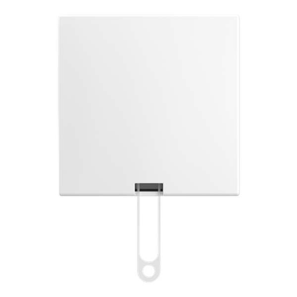 pull switch opb b-AP alpine white image 1