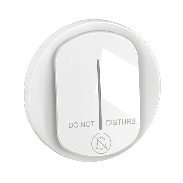 INDICATOR LAMP ROCKER WHITE image 3