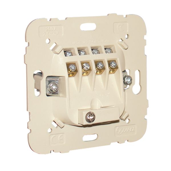 FOUR WALL ROSE image 2