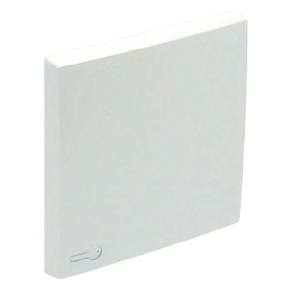 ROCKER F/SWITCHES W/LOCK SYMBOL ICE image 1